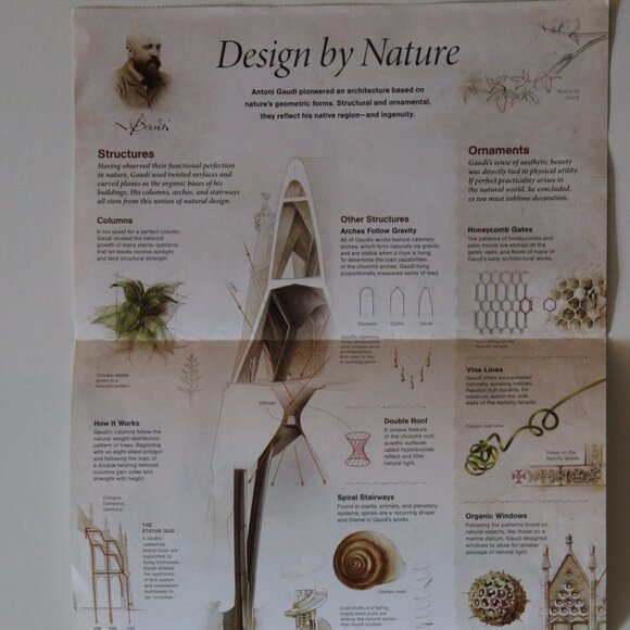 National Geographic "Barcelona's Natural Wonder" / 'Design by Nature' - Picture 4 of 6